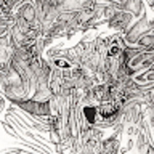 Meet your Posher, Alan